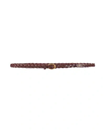 Nenette Woman Belt Chocolate Brown Size Onesize Leather