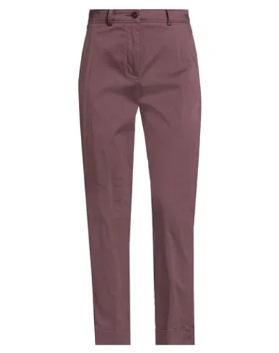 Nenette Woman Pants Plum Size 2 Cotton, Elastane In Burgundy