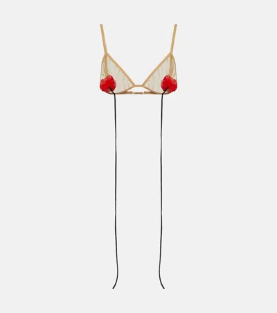 Nensi Dojaka Floral-appliqué Mesh Bra In Multicoloured