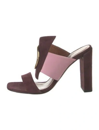 Pre-owned Neous Suede Slides In Burgundy