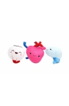 Nerdbugs Kids'  Organ Plushie Bundle In Pink