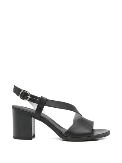 Nero Giardini Buckle-fastening Crossover-strap Sandals In Black