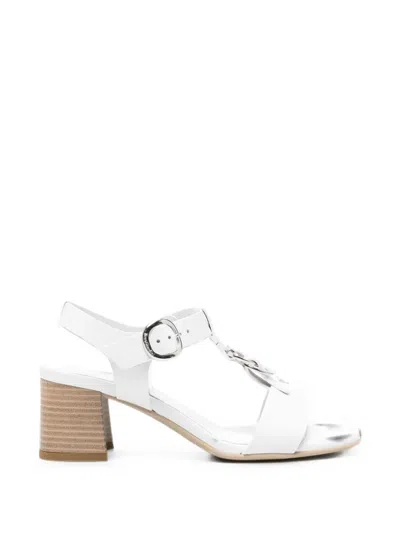 Nero Giardini Buckle-fastening Leather Sandals In Purple