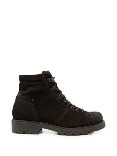 Nero Giardini Lace-up Suede Combat Boots In Brown
