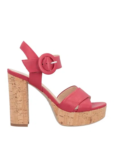 Nero Giardini Sandals In Brick Red