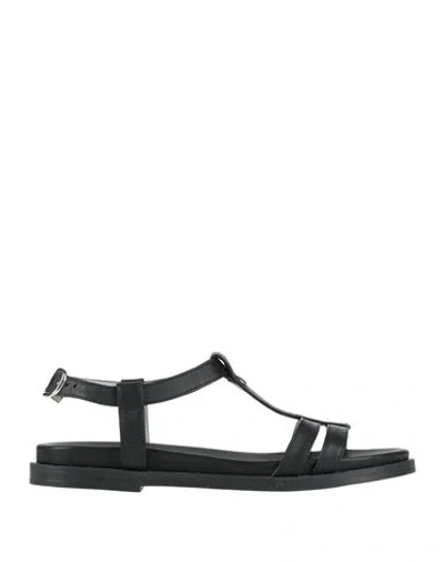 Nero Giardini Woman Sandals Black Size 8 Leather