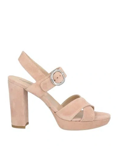 Nero Giardini Woman Sandals Blush Size 8 Soft Leather In Pink