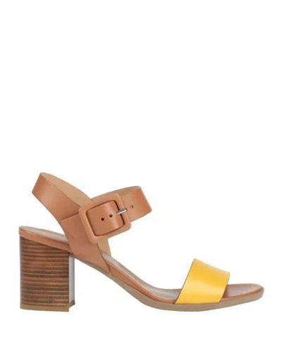 Nero Giardini Woman Sandals Camel Size 7 Leather In Multi