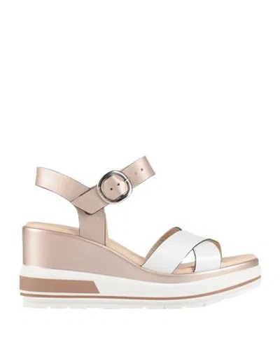 Nero Giardini Woman Sandals White Size 7 Leather In Gold