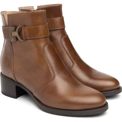 Nerogiardini Ankle Strap Bootie In Brown