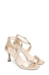 Nerogiardini Ankle Strap Sandal In Gold