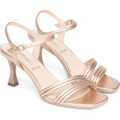 Nerogiardini Ankle Strap Sandal In Neutral
