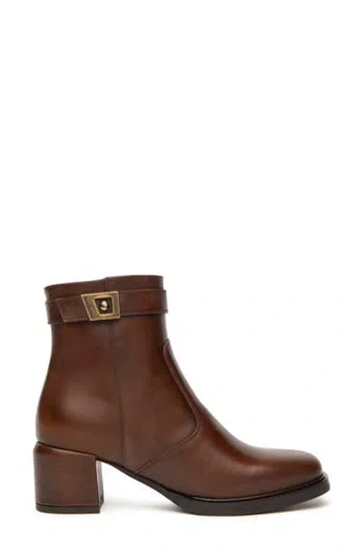 Nerogiardini Block Heel Bootie In Brown