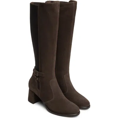 Nerogiardini Buckle Stretch Knee High Boot In Brown