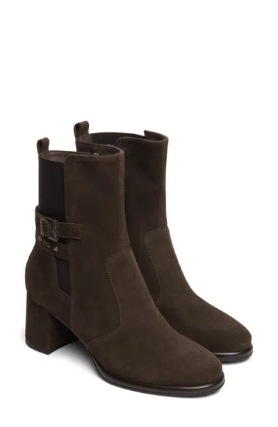 Nerogiardini Leather Block Heel Chelsea Bootie In Brown