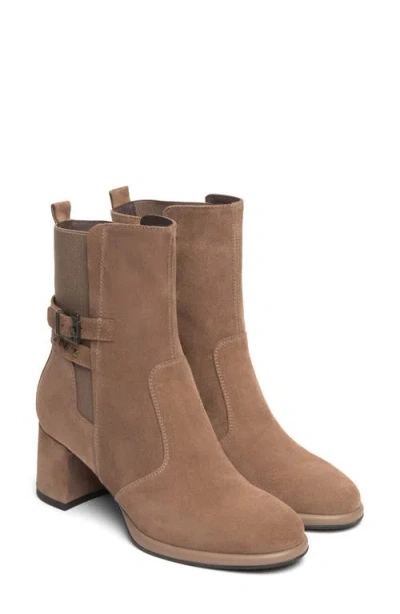 Nerogiardini Leather Block Heel Chelsea Bootie In Brown