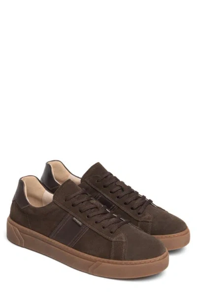 Nerogiardini Leather Low Top Sneaker In Brown