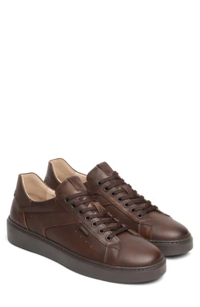 Nerogiardini Leather Low Top Sneaker In Brown