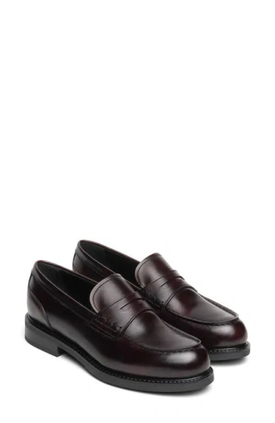 Nerogiardini Leather Penny Loafer In Brown