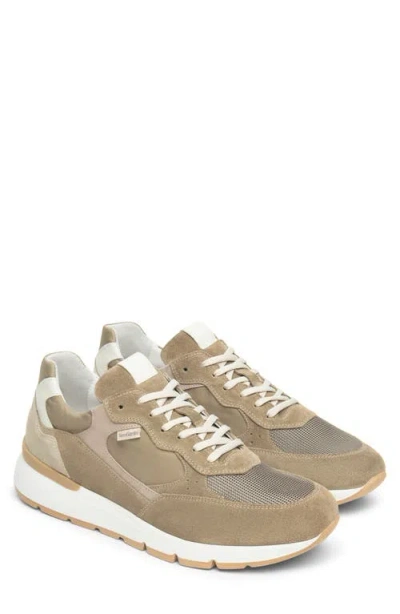 Nerogiardini Low Top Sneaker In Brown