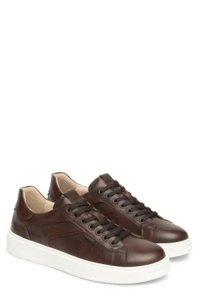 Nerogiardini Low Top Sneaker In Brown