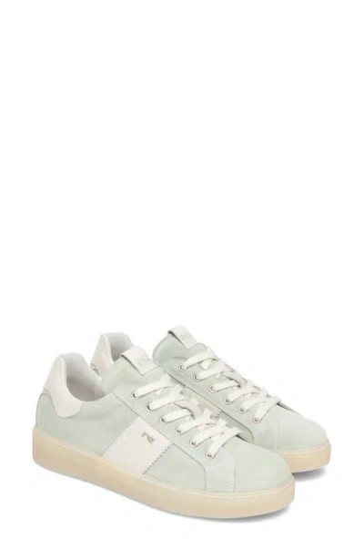 Nerogiardini Low Top Sneaker In Green