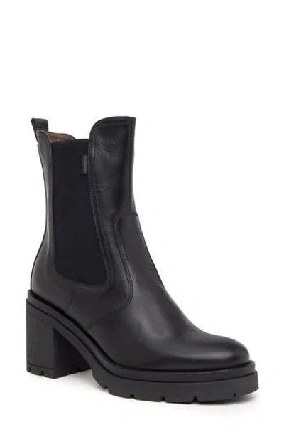 Nerogiardini Lug Sole Chelsea Boot In Black
