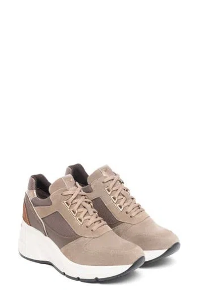 Nerogiardini Mixed Media Platform Wedge Sneaker In Brown