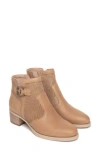 Nerogiardini Perforated Bootie In Brown
