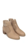 Nerogiardini Perforated Bootie In Brown