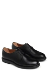 Nerogiardini Plain Toe Derby In Black