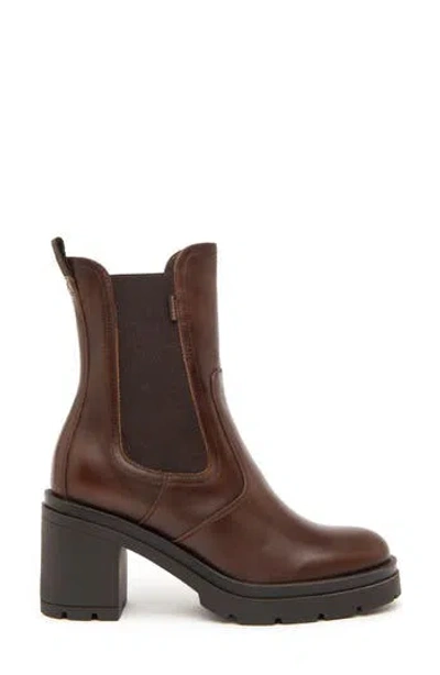 Nerogiardini Platform Chelsea Boot In Brown