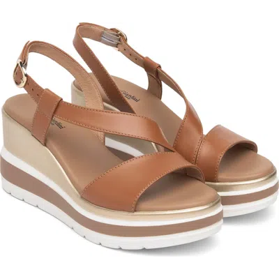Nerogiardini Platform Wedge Sandal In Brown