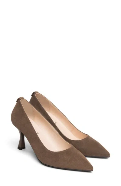 Nerogiardini Pointed Toe Pump In Brown