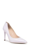 Nerogiardini Pointy Stiletto Dress Pumps