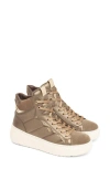 Nerogiardini Quilted High Top Sneaker In Brown