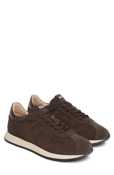 Nerogiardini Retro Leather Lace Up Sneaker In Brown