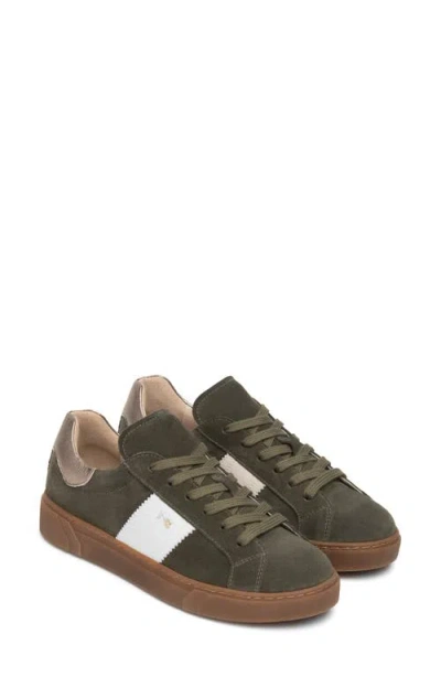 Nerogiardini Retro Low Top Leather Sneaker In Green