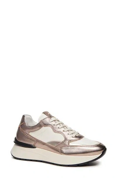 Nerogiardini Retro Sneaker In Multi