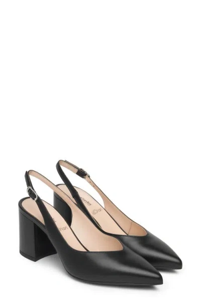Nerogiardini Slingback Pointed Toe Pump In Black