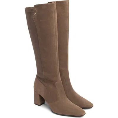 Nerogiardini Square Toe Stretch Knee High Boot In Brown