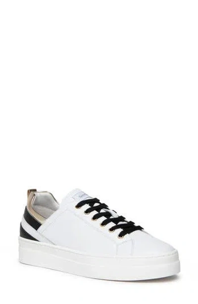 Nerogiardini Stripe Platform Sneaker In Multi