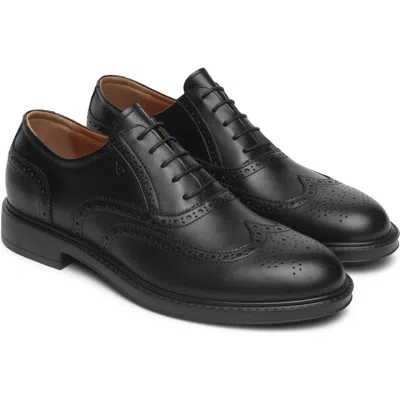 Nerogiardini Wingtip Oxford In Black