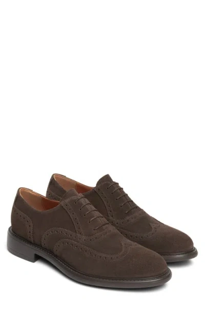 Nerogiardini Wingtip Oxford In Brown