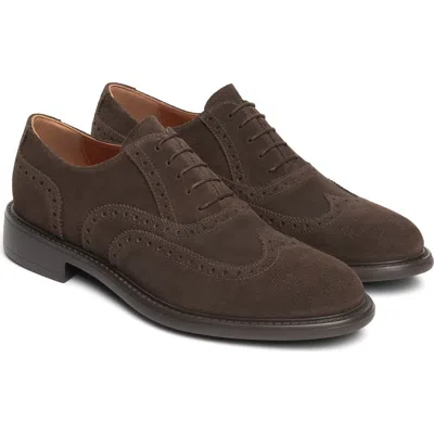 Nerogiardini Wingtip Oxford In Chocolate