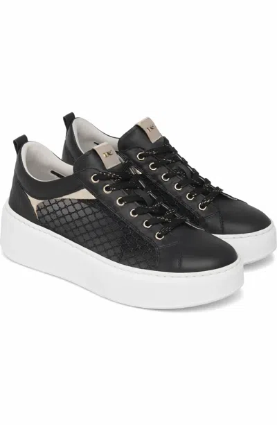 Nerogiardini Women's Lace-up Platform Sneaker In Black Mesh In Multi
