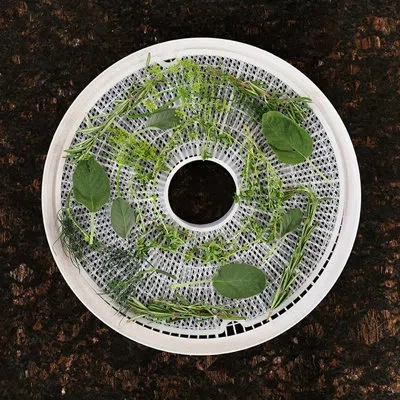 Nesco Clean- A-screen® For 4 Tray 500-watt Food Dehydrator In White