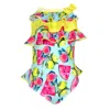 Nessi Byrd Cute Fruit Print Swimsuit For Girls In Multi