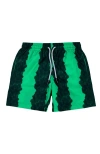 Nessi Byrd Kids' Green-black Stripe Quick-dry Swim Trunks