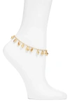 Nest Jewelry Tiny Shells Charm Anklet In Gold